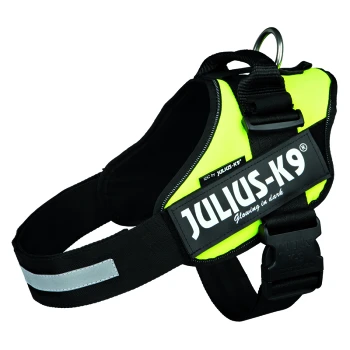 Ein leuchtend gelbes Hundegeschirr mit schwarzen Gurten, mit dem Text "JULIUS-K9" und "Leuchtet im Dunkeln", entworfen für Sichtbarkeit.