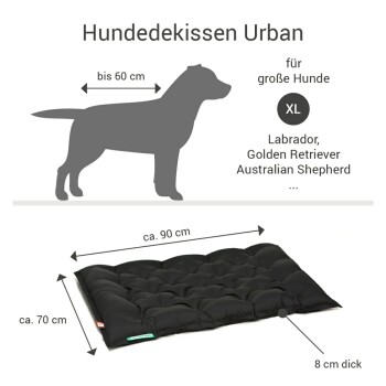 Schwarzes Hundebett für große Hunde, Maße 90 cm x 70 cm, 8 cm dick, geeignet für Rassen wie Labrador und Golden Retriever.