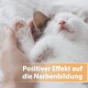 Schlafendes weißes Kätzchen, in einer Hand geborgen; orangefarbener Banner mit der Aufschrift Positiver Effekt auf die Narbenbildung.