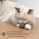 Katzenminze Bälle 3 Stk.