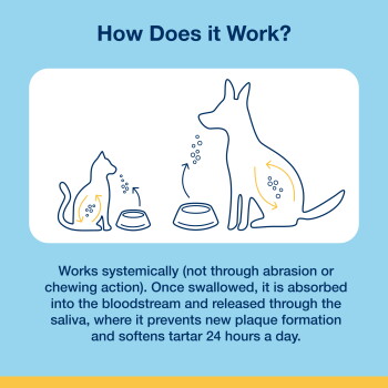 Heading 'How Does it Work?' Illustration of cat and dog by bowls with arrows; about absorption and tartar prevention.