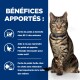 Un chat tigré avec un collier bleu est assis à côté d'un texte décrivant les avantages d'un produit de perte de poids pour animaux, comme la perte de poids à domicile et le soutien énergétique.