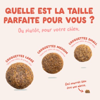 Trois tailles de croquettes dans une publicité pour animaux avec étiquettes françaises Croquettes Grandes/Moyennes/Petites et titre demandant 'Quelle est la taille parfaite ?'.