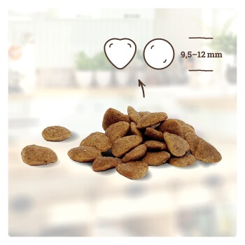 Haufen brauner, herzförmiger Haustier-Kroketten mit Größenillustration und Text "9,5–12 mm" auf unscharfem Hintergrund.