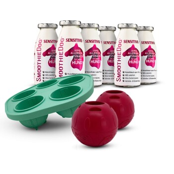 Sechs SmoothieDog Sensitivo hypoallergene Hundeflaschen mit einer grünen Silikonfütterungsform mit 4 Mulden und zwei roten Leckerliebällen