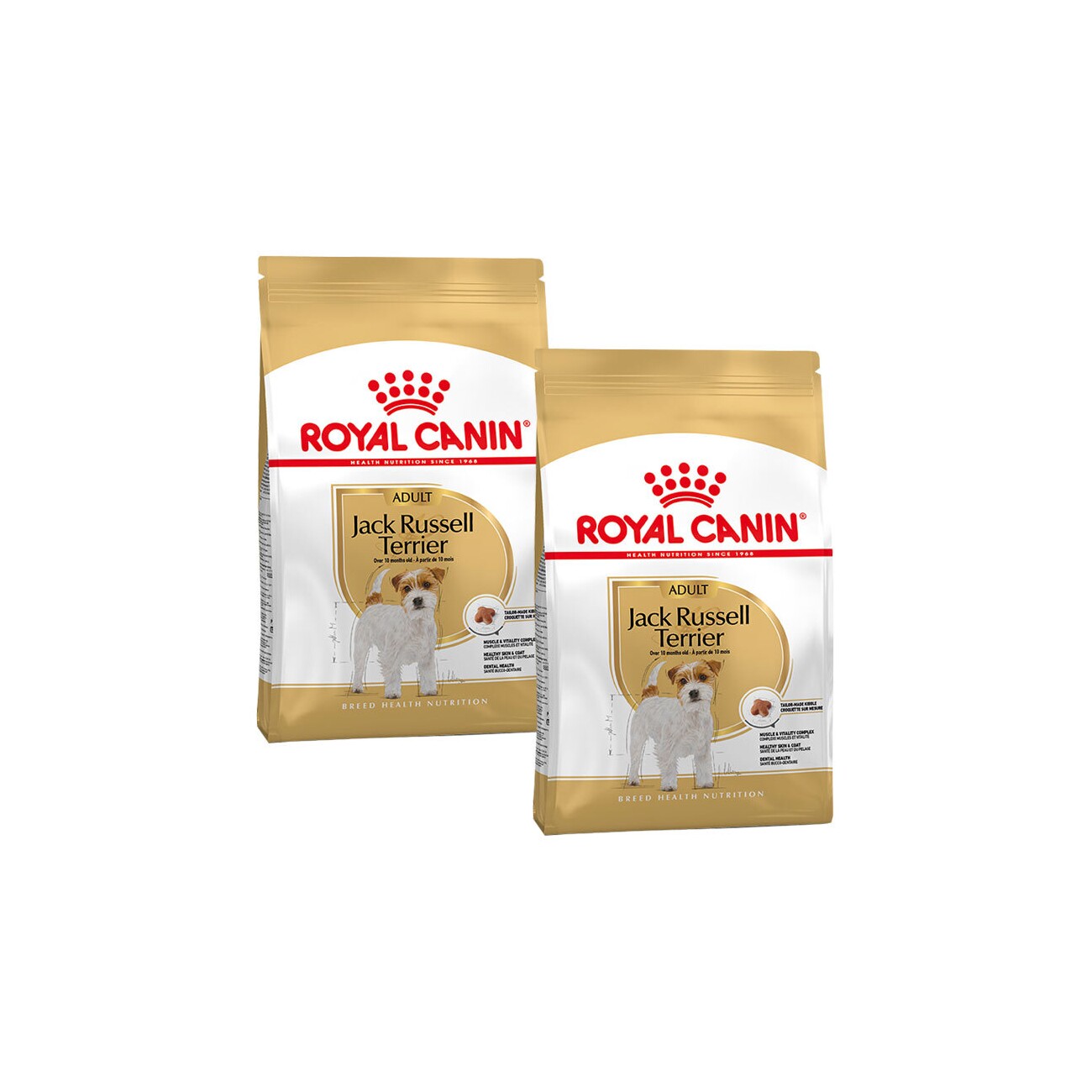halsband hunde Buntes Kettenhalsband langgliedrig  Maulkorb Factory