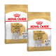 Zwei Tüten Royal Canin Hundefutter für erwachsene Jack Russell Terrier, mit einem Bild der Rasse und Details zur Ernährung.