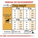 Tableau de guide d'alimentation pour chiens montrant les quantités quotidiennes recommandées en grammes et en tasses en fonction du poids du chien (10-16 kg) et du niveau d'activité.