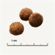 Trois morceaux de croquettes pour animaux de compagnie marron sur un fond clair, avec une règle indiquant une taille de 1 cm.