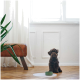 Ein kleiner brauner Hund sitzt auf einem Holzboden neben einer grünen Futterschüssel auf einer weißen Matte, mit einer Pflanze und einem Ledersofa im Hintergrund.