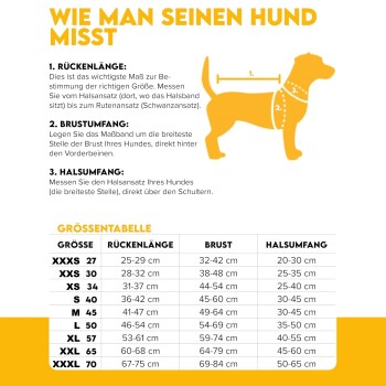 Kleiner Hund trägt eine lavendelfarbene Fleecejacke mit einer grünen Tasche mit der Aufschrift „Woolly Wolf“ und angeleint.