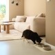 Eine schildpattfarbene Katze frisst aus einer grauen Futterschüssel auf einer hellen Matte in einem modernen Wohnzimmer mit einem beigen Sofa und einem Holztisch.