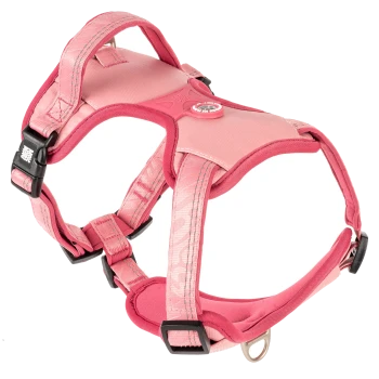Pinkes verstellbares Hundegeschirr mit gepolsterten Trägern und schwarzen Schnallen, mit Metall-D-Ring und „Julius-K9“-Logo an der Seite.
