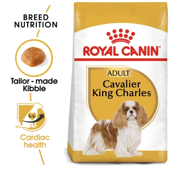 Royal Canin Adult Cavalier King Charles dog food bag with an illustration of a Cavalier, emphasizing breed nutrition and heart health.
