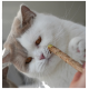 Eine flauschige weiße Katze mit grauen Flecken schnüffelt neugierig an einem grünspitzen Stock, der von einer Person gehalten wird, und zeigt ihre leuchtend orangefarbenen Augen.