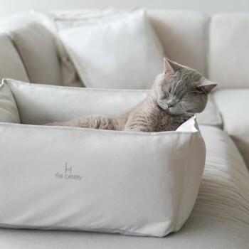 Eine graue Katze schläft friedlich in einem weichen, hellen Haustierbett mit dem Logo "THE CATERY", das auf einem gemütlichen Sofa platziert ist.