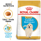 Royal Canin Puppy Golden Retriever dog food bag featuring breed-specific nutrition, tailored kibble, and immune system support icons.