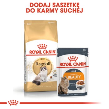 Karma dla zwierząt Royal Canin: worek suchej karmy Ragdoll Adult i saszetka mokrej karmy Intense Beauty z tekstem "DODAJ SASZETKĘ DO KARMY SUCHEJ."