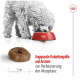 Ein flauschiger grauer Hund frisst aus einer roten Schüssel mit Futter, mit einer Nahaufnahme von Futter und deutschem Text zu Größen- und Geschmacksanpassungen.
