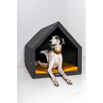 Ein schwarz-weißer Hund entspannt sich in einem stilvollen grauen Hundehäuschen mit einem goldenen Kissen und sieht zufrieden und aufmerksam aus.