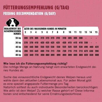 Fütterungsempfehlungstabelle für Welpen, die die täglichen Futtermengen basierend auf idealem Gewicht und Alter in Monaten detailliert, mit Anweisungen auf Deutsch.