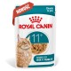 Karma dla kotów Royal Canin w saszetce dla seniorów powyżej 11 lat, kawałki w galaretce, z wizerunkiem pomarańczowego kota pręgowane.