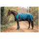 Ein braunes Pferd, das eine blaue und schwarze wasserdichte Decke trägt, steht auf einem Schotterweg, umgeben von herbstlichem Laub.