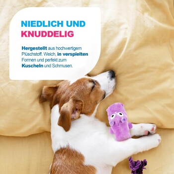 Schlafender braun-weißer Welpe kuschelt mit einem violetten Plüschtier; Bildtext: 'NIEDLICH UND KNUDDELIG' und deutscher Text.
