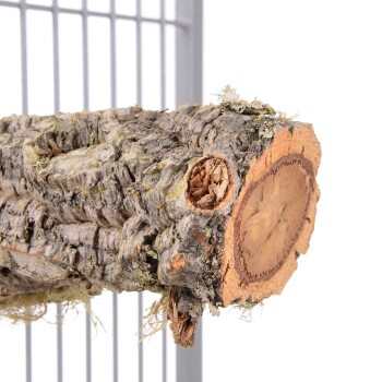 Natürlicher Holzast mit strukturiertem Rinde und glattem Schnittende, geeignet für kleine Haustiere, vor einem weißen Hintergrund.