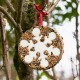 Zwei dekorative Tierleckereien in Form von Schneeflocken, mit weißem Zuckerguss überzogen und von Samen umgeben, mit einem roten Band, vor einer Lyra Pet-Box.