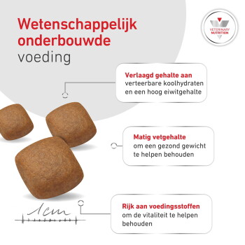 Bruine vierkante brok met kop 'Wetenschappelijk onderbouwde voeding' en aanduidingen: verminderde koolhydraten, matig vet, rijk aan voedingsstoffen.