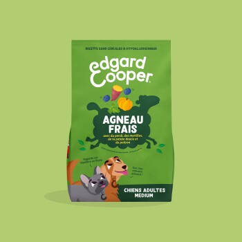 Sac vert Edgard Cooper indiquant 'Agneau Frais', icônes de légumes, étiquette 'Chiens Adultes Medium' et deux chiens dessinés.