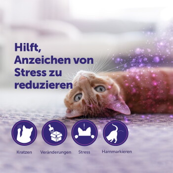 Oranger getigerter Kater liegt auf dem Rücken mit lila Funkeln; deutsche Überschrift 'Hilft, Anzeichen von Stress zu reduzieren' und Symbole.