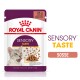 Royal Canin Sensory Taste Katzenfutterbeutel, 85g, mit dem Gesicht einer Katze, Stückchen in Soße und Text, der die sensorische Stimulation hervorhebt.