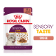 Royal Canin Sensory Taste Katzenfutterbeutel, 85g, mit dem Gesicht einer Katze, Stückchen in Soße und Text, der die sensorische Stimulation hervorhebt.