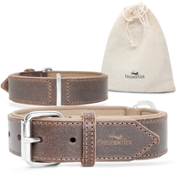 Braunes Leder-Hundehalsband mit silberner Schnalle, mit dem Markennamen "FREUDENTIER" geprägt, zusammen mit einem Aufbewahrungsbeutel mit Kordelzug.