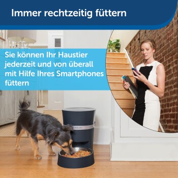 Ein kleiner Hund, der aus einem modernen automatischen Haustierfutterspender in einem Wohnumfeld frisst, mit Text, der das smartphone-gesteuerte Füttern bewirbt.