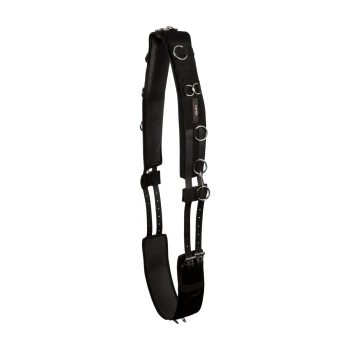 Longiergurt mit Widerristkissen Schwarzes, verstellbares Hundegeschirr mit mehreren Metall-D-Ringen und gepolstertem Halt für Komfort. Ideal für Training und Spaziergänge.