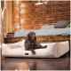 Ein brauner Hund, der auf einem plüschigen, cremefarbenen Hundebett in einem gemütlichen Raum mit einer Ziegelwand und einem Holzbett im Hintergrund entspannt.