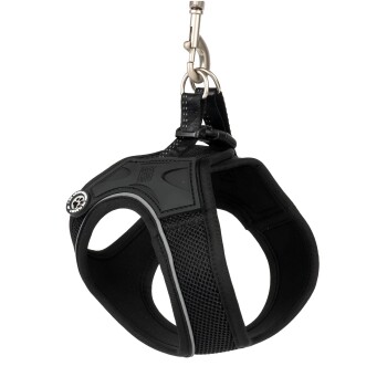 Schwarzes gepolstertes Netz-Hundegeschirr mit reflektierendem Rand und Metallclip, an einem silbernen Haken hängend, aus einem Online-Tiergeschäft.