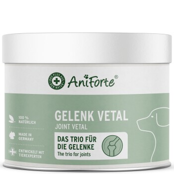 Weiß-grüne AniForte-Dose mit Aufschrift 'GELENK VETAL / JOINT VETAL', Hundeumriss und Text 'Das Trio für die Gelenke'