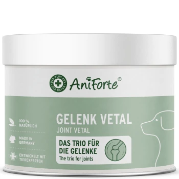 Weiß-grüne AniForte-Dose mit Aufschrift 'GELENK VETAL / JOINT VETAL', Hundeumriss und Text 'Das Trio für die Gelenke'