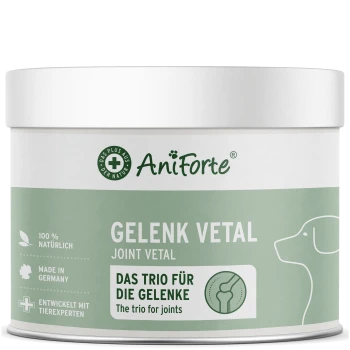 Weiß-grüne AniForte-Dose mit Aufschrift 'GELENK VETAL / JOINT VETAL', Hundeumriss und Text 'Das Trio für die Gelenke'