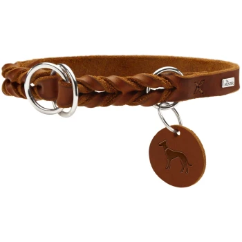 Braunes geflochtenes Lederhalsband für Hunde mit silbernen Ringen und einem runden Anhänger mit einer Hundesilhouette, beschriftet mit 'HUNTER.'
