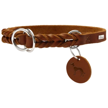 Braunes geflochtenes Lederhalsband für Hunde mit silbernen Ringen und einem runden Anhänger mit einer Hundesilhouette, beschriftet mit 'HUNTER.'