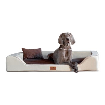 ® Orthopädisches LUXUS-Hundebett MELODY LATEX Soft Kunstleder Velours creme/ braun 1,5 m, 22 cm, 1 m