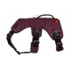 Bordeauxfarbenes Haustiergeschirr mit verstellbaren Riemen und Schnallen, mit einem Griff oben für einfache Kontrolle.