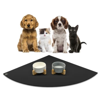 Vier Haustiere, darunter zwei Hunde, eine Katze und ein schwarzes Kätzchen, sitzen vor zwei Haustierschalen auf einer schwarzen Matte.