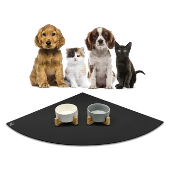 Vier Haustiere, darunter zwei Hunde, eine Katze und ein schwarzes Kätzchen, sitzen vor zwei Haustierschalen auf einer schwarzen Matte.