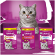 Grau-getigerte Katze leckt sich die Zunge hinter drei lila Whiskas-Beuteln mit den Beschriftungen Anti-Hairball, Knuspertaschen, Dentabites.